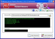 AWinware Access Password Recovery screenshot